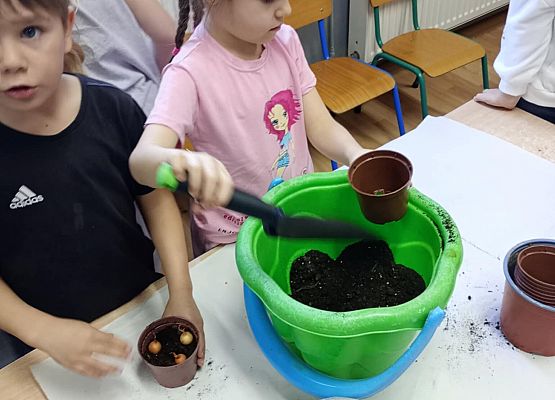 Prace starszej grupy