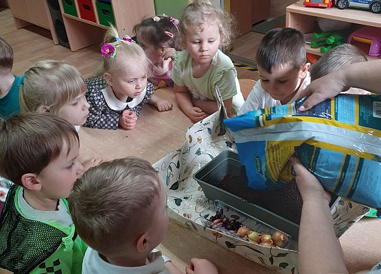 Grafika 9: Galeria Przedszkolaków