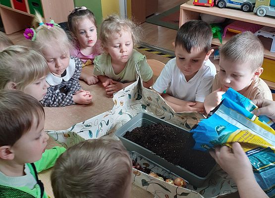 Grafika 10: Galeria Przedszkolaków