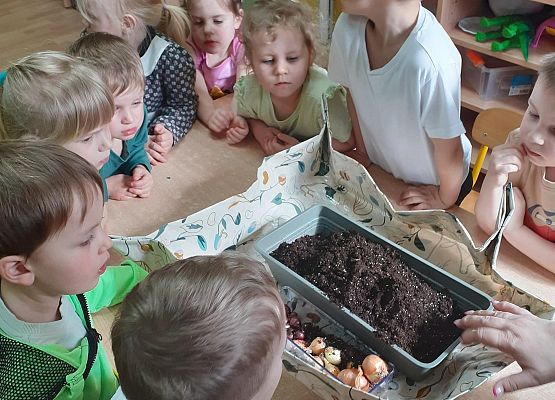 Grafika 11: Galeria Przedszkolaków