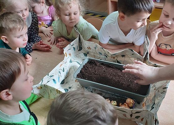 Grafika 12: Galeria Przedszkolaków