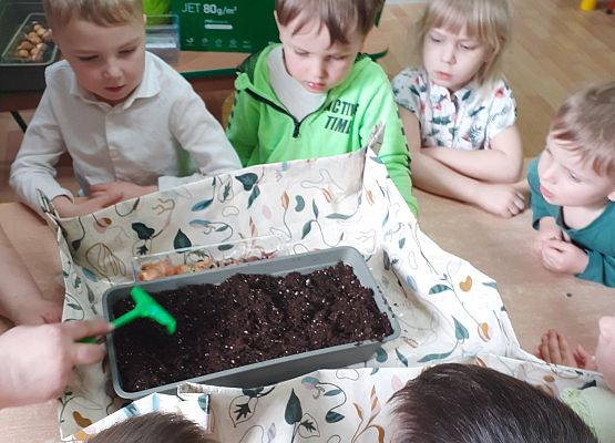 Grafika 13: Galeria Przedszkolaków