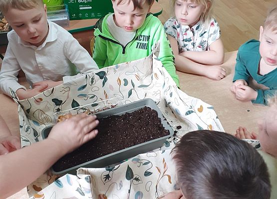 Grafika 14: Galeria Przedszkolaków