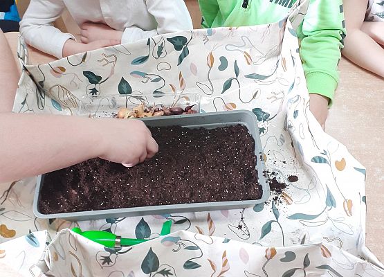 Grafika 15: Galeria Przedszkolaków