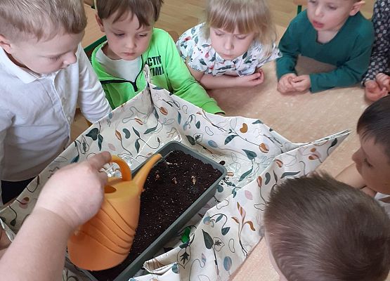 Grafika 17: Galeria Przedszkolaków