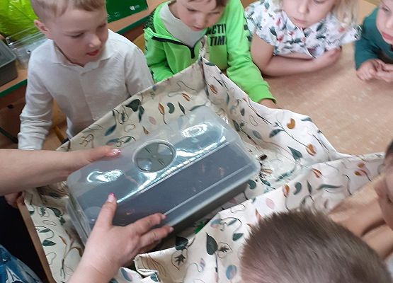 Grafika 18: Galeria Przedszkolaków