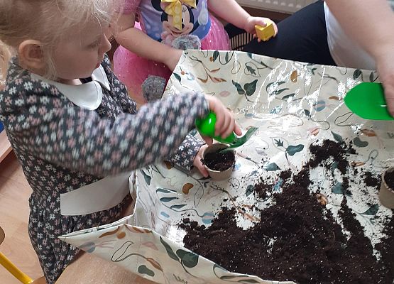 Grafika 19: Galeria Przedszkolaków