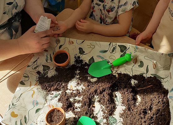 Grafika 23: Galeria Przedszkolaków