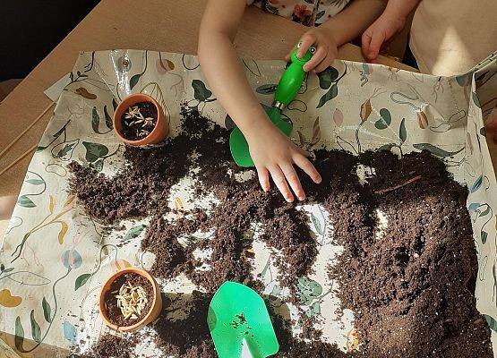 Grafika 24: Galeria Przedszkolaków