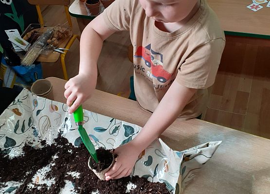 Grafika 26: Galeria Przedszkolaków