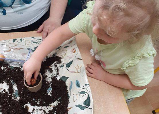 Grafika 34: Galeria Przedszkolaków