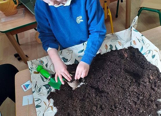 Grafika 48: Galeria Przedszkolaków