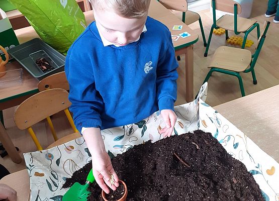 Grafika 50: Galeria Przedszkolaków