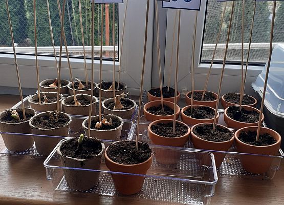 Grafika 51: Galeria Przedszkolaków