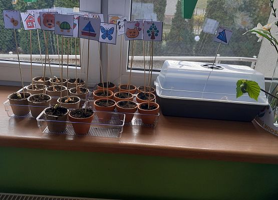 Grafika 52: Galeria Przedszkolaków