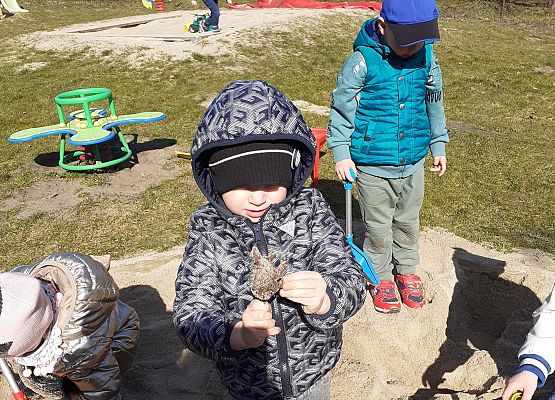 Prace grupy młodszej