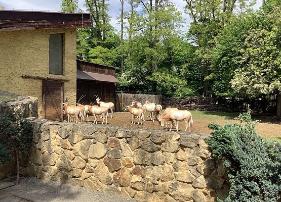 Grafika 10: Poznajemy Wrocław i Pragę – wycieczka edukacyjna