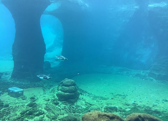 Grafika 8: Poznajemy Wrocław i Pragę – wycieczka edukacyjna