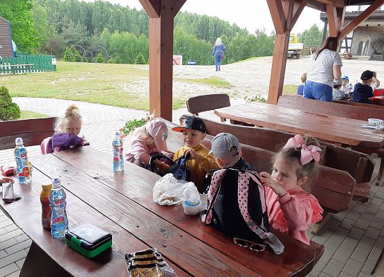 Grafika 54: Wycieczka do Parku Miniatur w Stryszej Budzie. Grupa młodsza