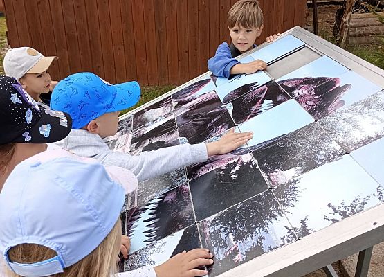 Grafika 75: Wycieczka do Parku Miniatur w Stryszej Budzie. Grupa starsza