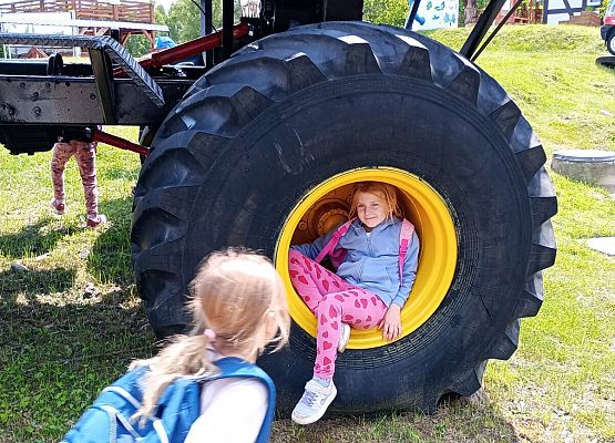 Grafika 64: Wycieczka do Parku Miniatur w Stryszej Budzie. Grupa starsza