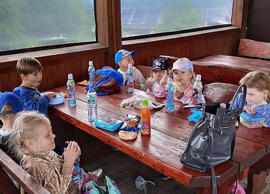 Grafika 61: Wycieczka do Parku Miniatur w Stryszej Budzie. Grupa starsza