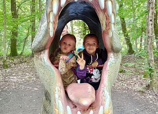 Grafika 30: Wycieczka do Parku Miniatur w Stryszej Budzie. Grupa starsza