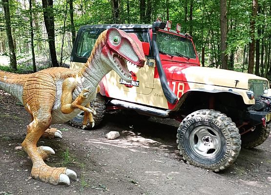 Grafika 3: Wycieczka do Parku Miniatur w Stryszej Budzie. Grupa starsza