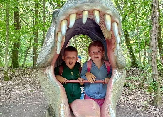 Grafika 33: Wycieczka do Parku Miniatur w Stryszej Budzie. Grupa starsza