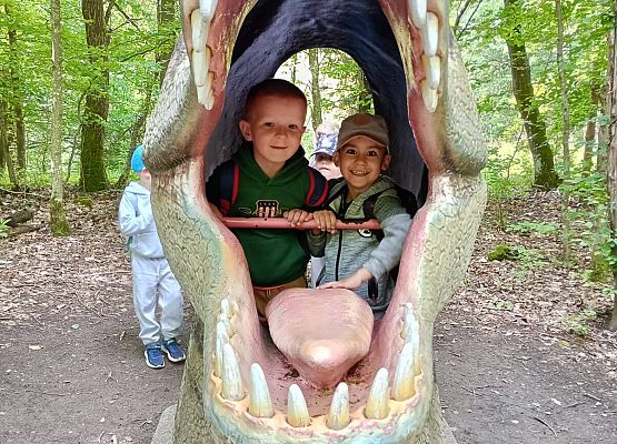 Grafika 34: Wycieczka do Parku Miniatur w Stryszej Budzie. Grupa starsza