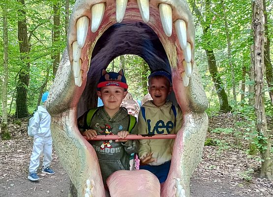 Grafika 35: Wycieczka do Parku Miniatur w Stryszej Budzie. Grupa starsza