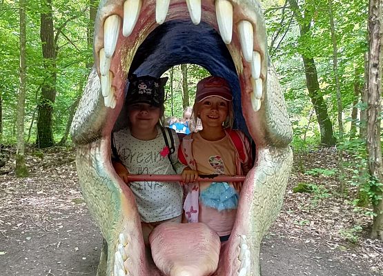 Grafika 36: Wycieczka do Parku Miniatur w Stryszej Budzie. Grupa starsza