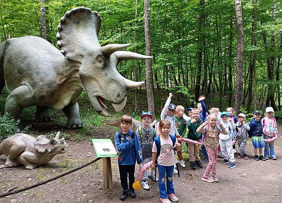 Grafika 6: Wycieczka do Parku Miniatur w Stryszej Budzie. Grupa starsza