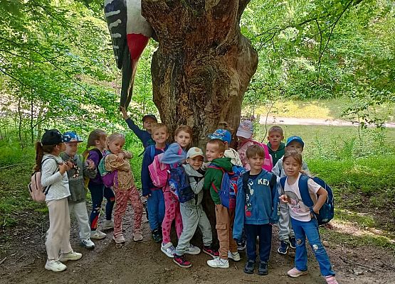 Grafika 8: Wycieczka do Parku Miniatur w Stryszej Budzie. Grupa starsza