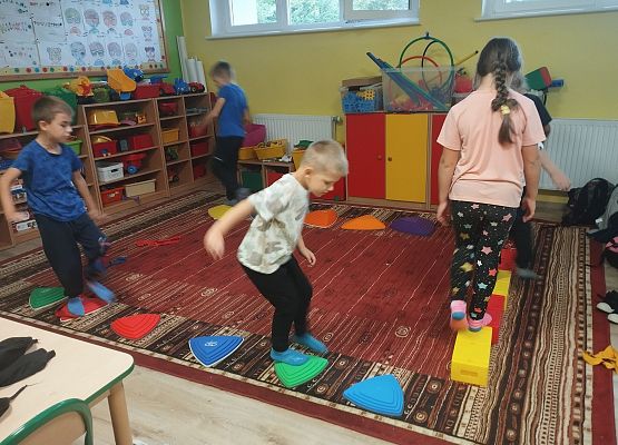 Grafika 7: Zajęcia z projektów