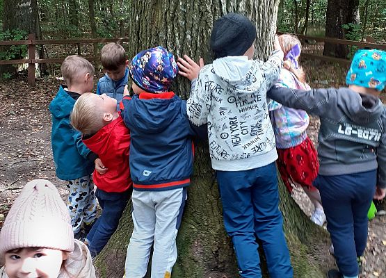 Grafika 12: GALERIA PRACUSIÓW