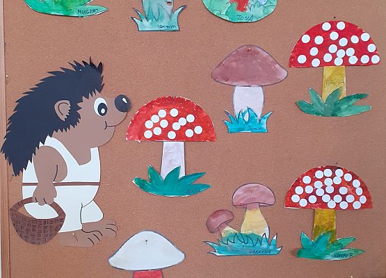 Grafika 11: GALERIA PRACUSIÓW