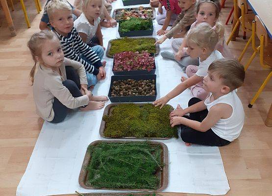 Grafika 12: Galeria Przedszkolaków