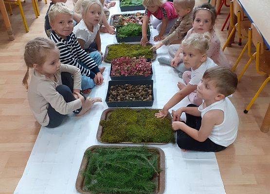 Grafika 13: Galeria Przedszkolaków