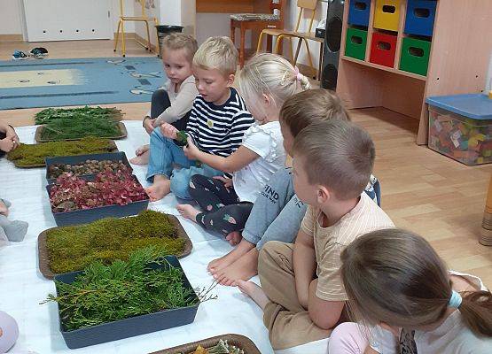 Grafika 14: Galeria Przedszkolaków