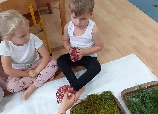 Grafika 17: Galeria Przedszkolaków