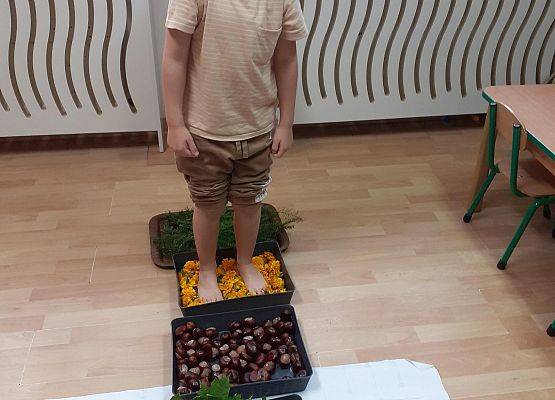 Grafika 26: Galeria Przedszkolaków