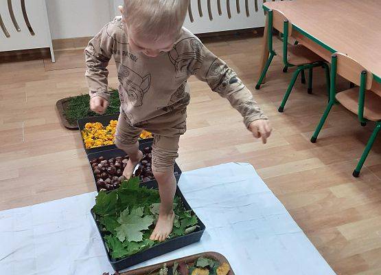 Grafika 27: Galeria Przedszkolaków