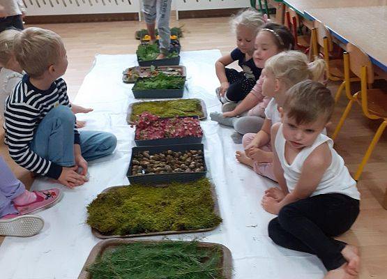 Grafika 29: Galeria Przedszkolaków