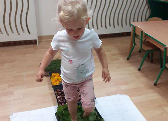 Grafika 31: Galeria Przedszkolaków