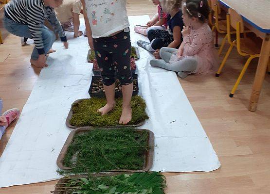 Grafika 33: Galeria Przedszkolaków