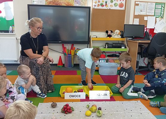 Grafika 4: DARY SADU I OGRODU