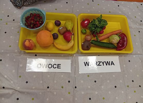 Grafika 8: DARY SADU I OGRODU