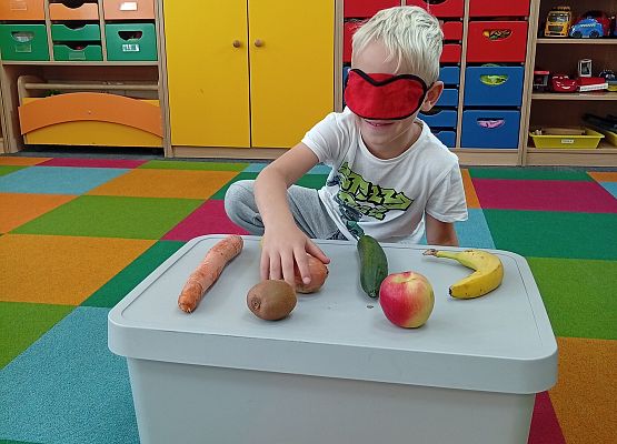 Grafika 9: DARY SADU I OGRODU