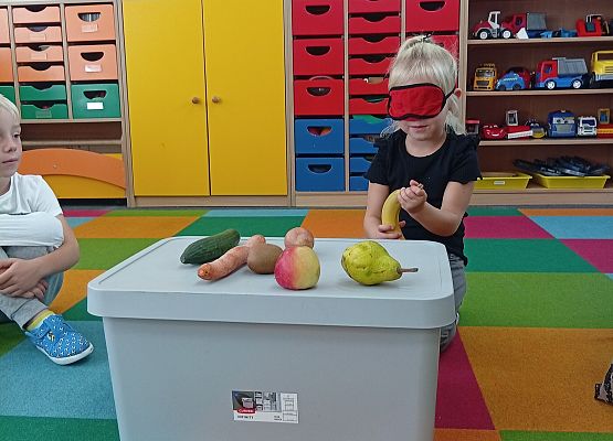 Grafika 11: DARY SADU I OGRODU